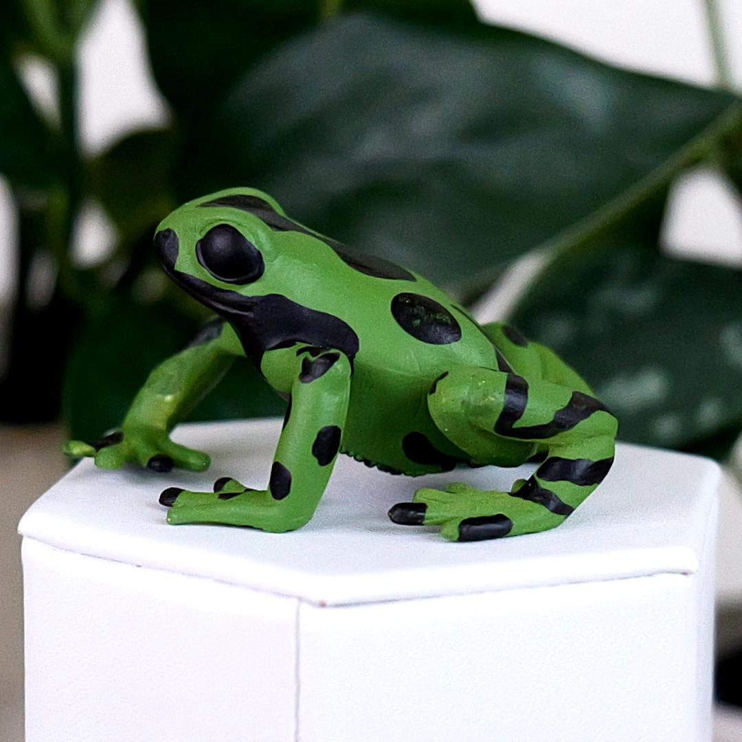 Equatorial Green Frog Figure - Hand Painted & Collectible Toy - Papo 50176