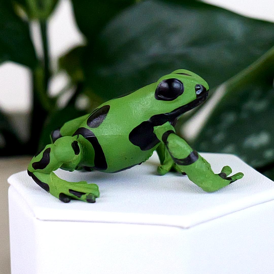 Equatorial Green Frog Figure - Hand Painted & Collectible Toy - Papo 50176