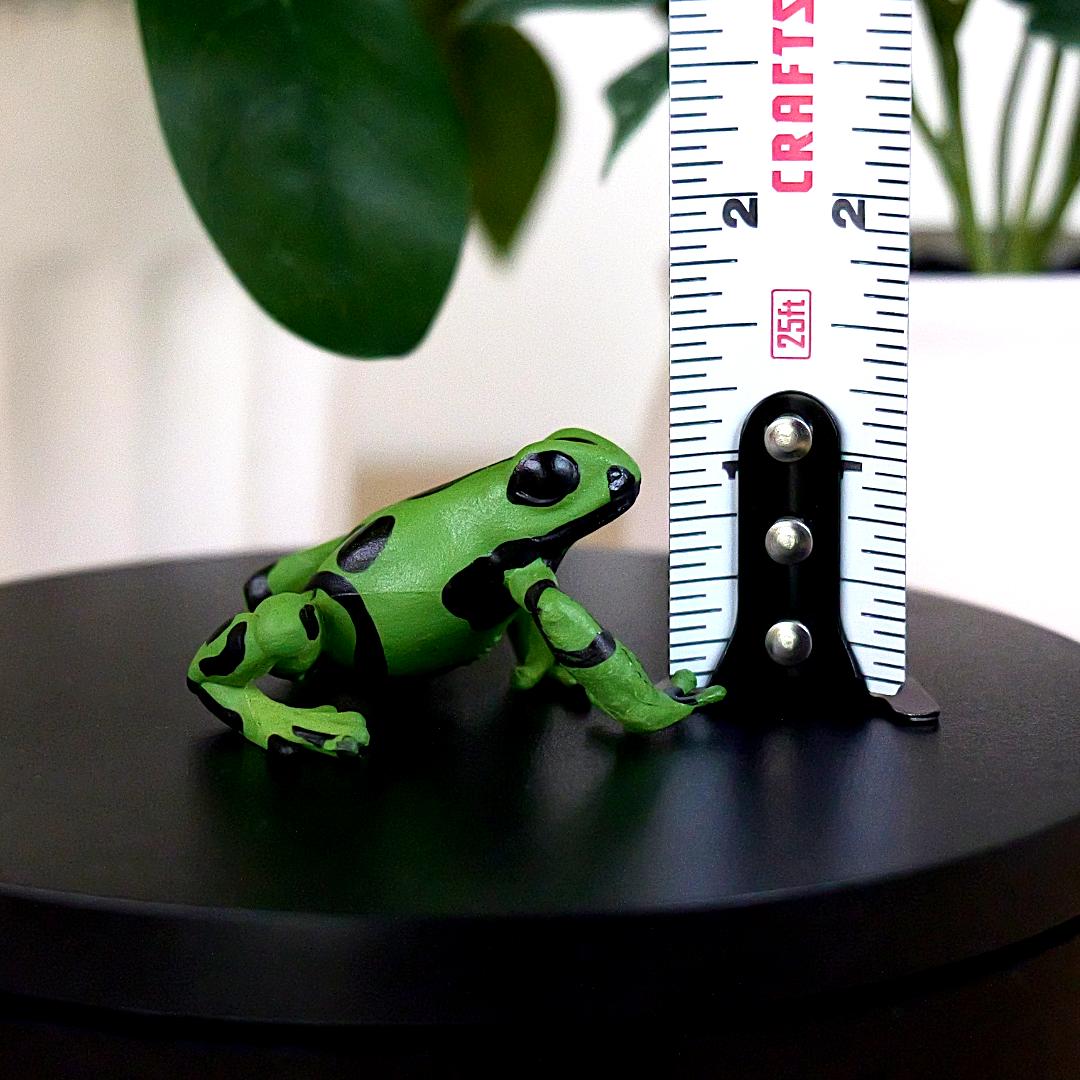 Equatorial Green Frog Figure - Hand Painted & Collectible Toy - Papo 50176