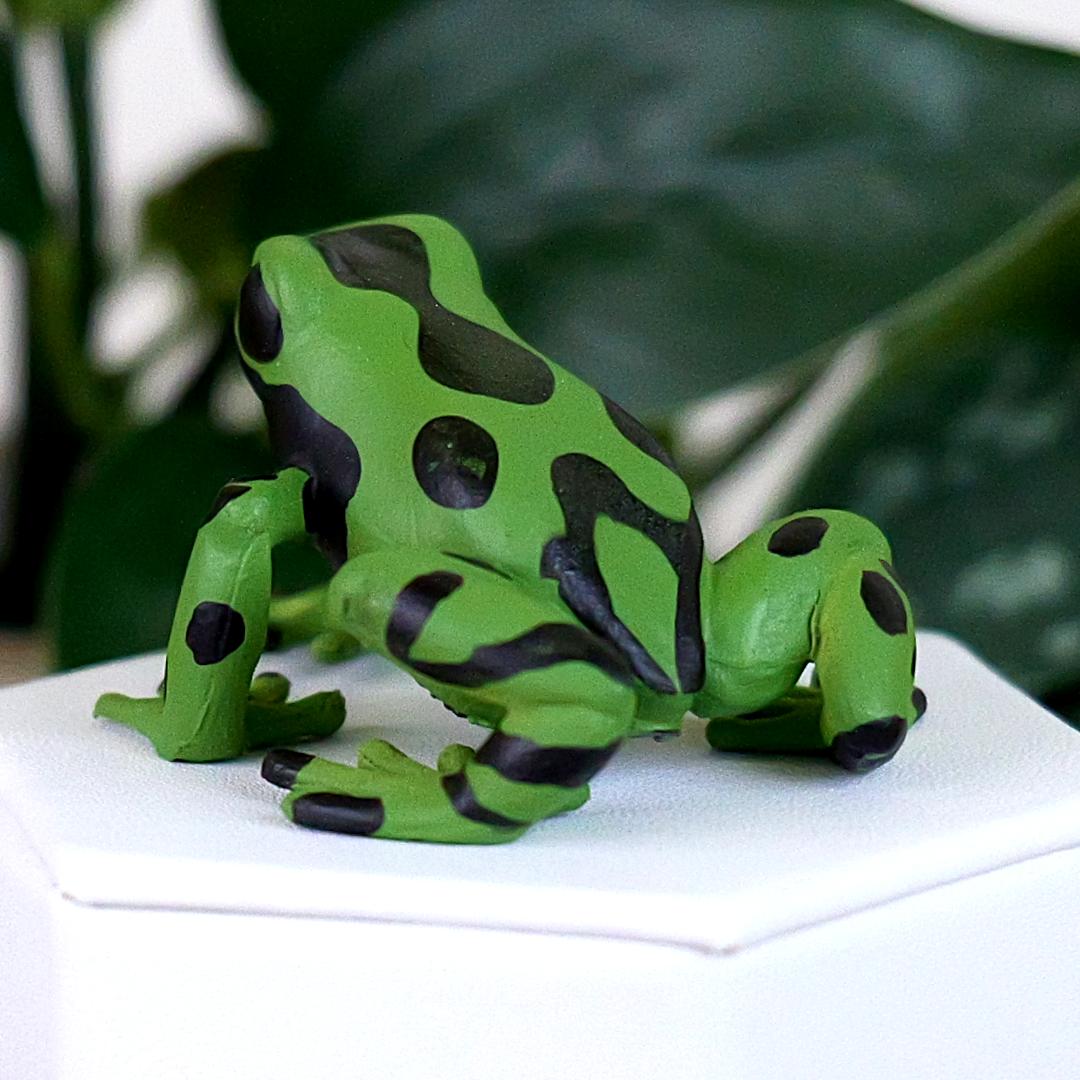 Equatorial Green Frog Figure - Hand Painted & Collectible Toy - Papo 50176
