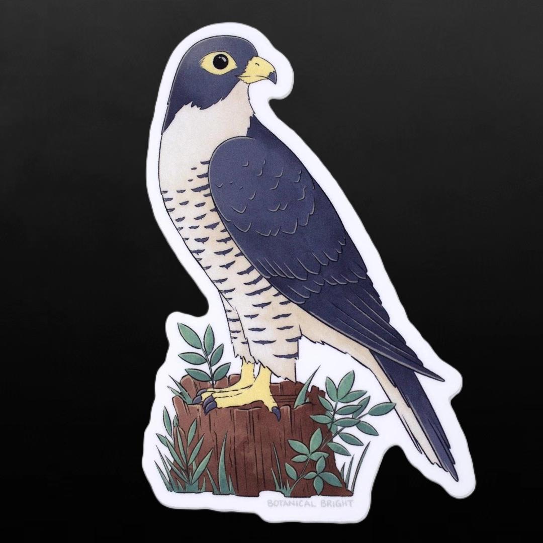 Falcon Bird Sticker - Waterproof Vinyl Nature & Wildlife Decal