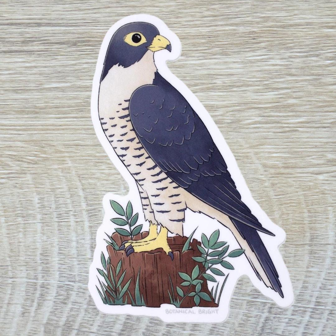 Falcon Bird Sticker - Waterproof Vinyl Nature & Wildlife Decal