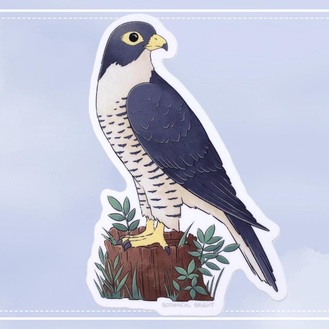 Falcon Bird Sticker - Waterproof Vinyl Nature & Wildlife Decal