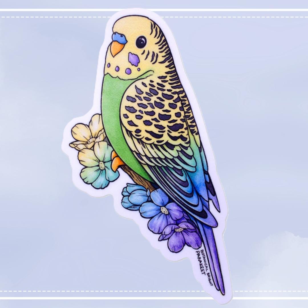 Green Parakeet Budgie Bird Sticker - Waterproof Vinyl Pet & Animal Decal