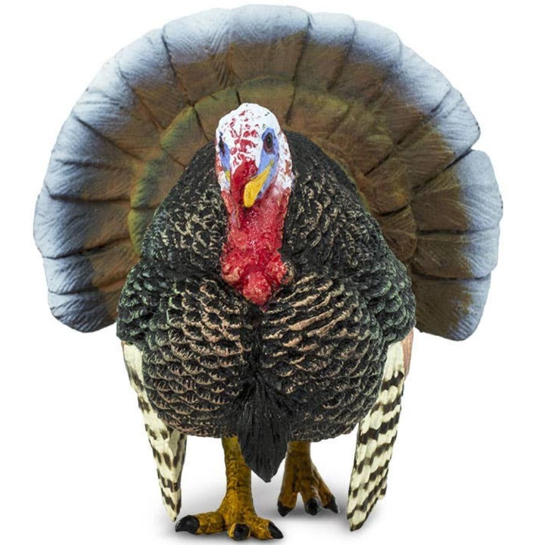 Turkey Figurine - Hand Painted & Collectible Farm Animal Toy Figure - Safari Ltd