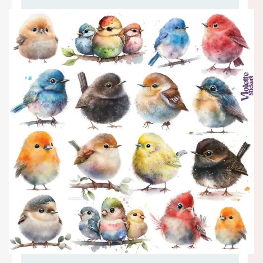 Chubby Birds Stickers - Bird & Nature Sticker Sheets
