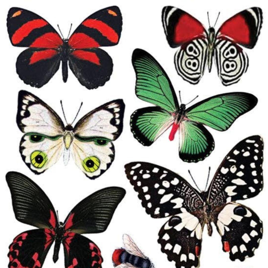 Holiday Butterflies Stickers - Christmas Colors Sticker Sheet