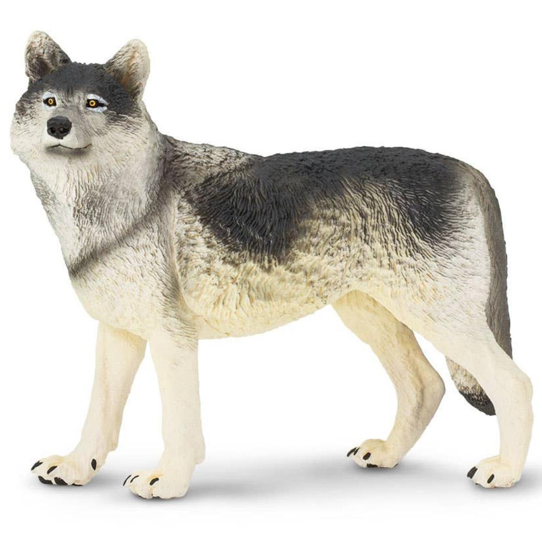 Gray Wolf Figurine - Hand Painted Wild Animal Toy Figure - Safari Ltd 112689