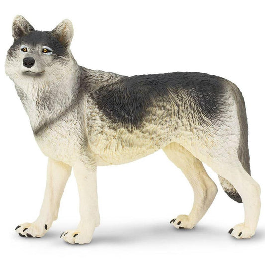 Gray Wolf Figurine - Hand Painted Wild Animal Toy Figure - Safari Ltd 112689