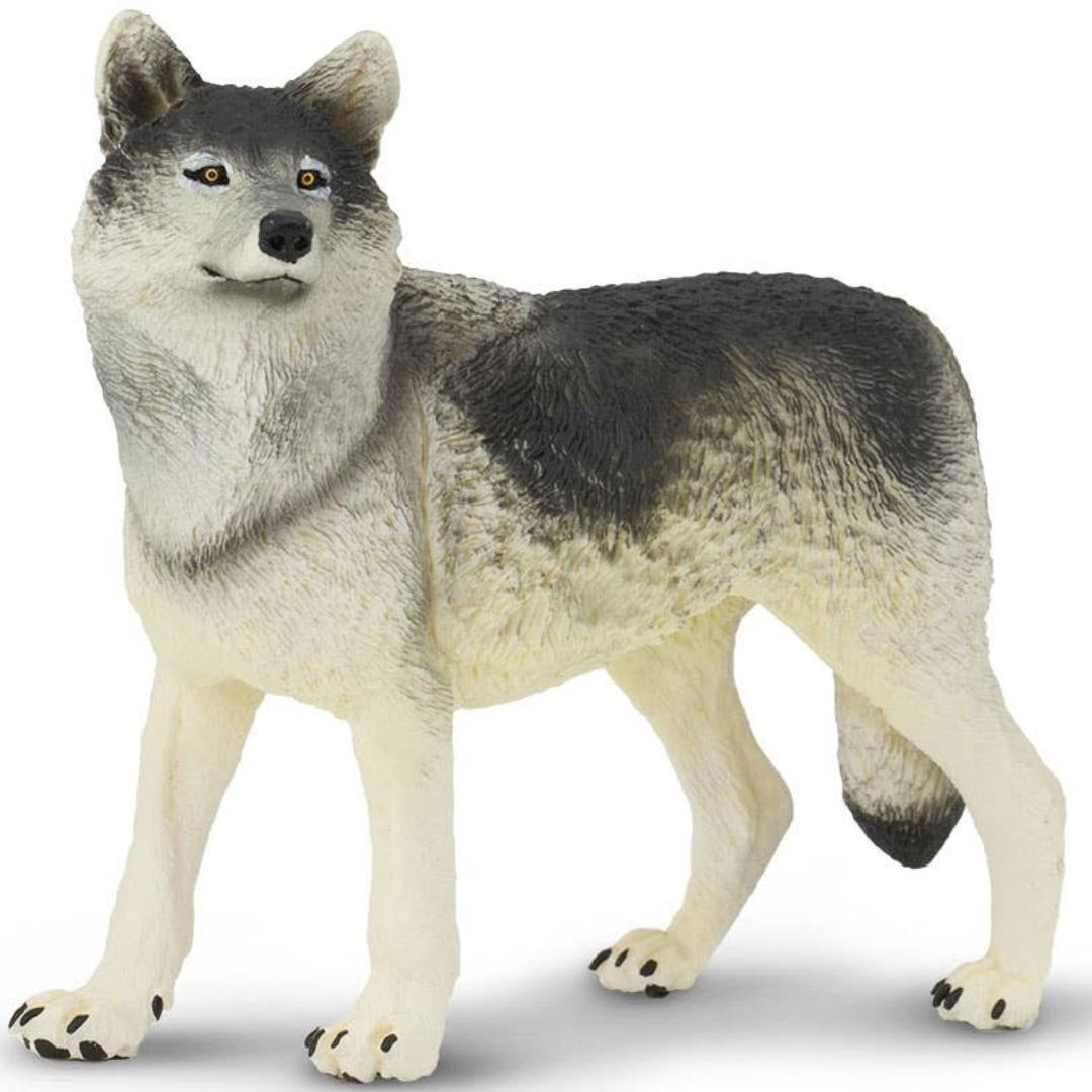 Gray Wolf Figurine - Hand Painted Wild Animal Toy Figure - Safari Ltd 112689