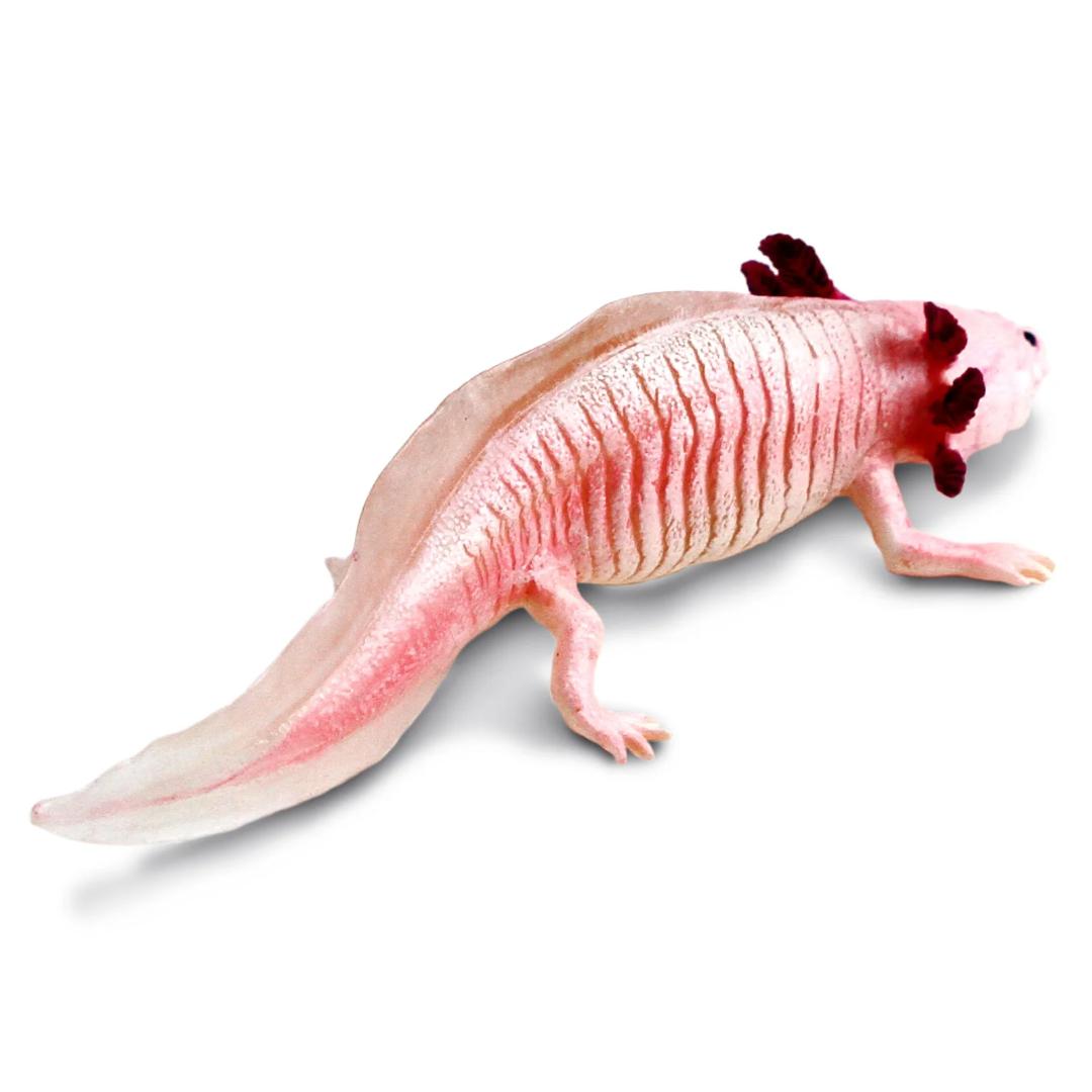 Axolotl Figurine - Hand Painted & Collectible Wild Animal Toy Figure - Safari Ltd 104650