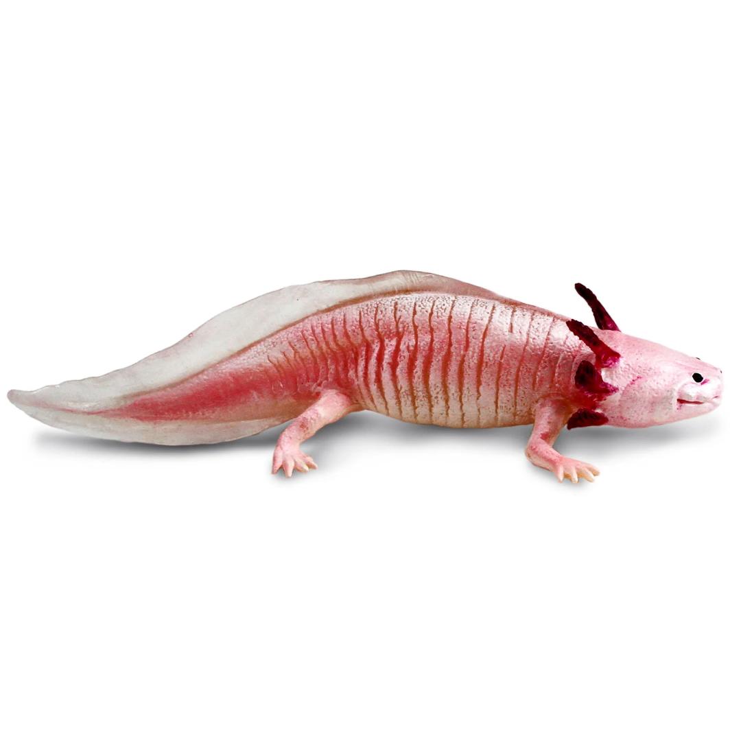 Axolotl Figurine - Hand Painted & Collectible Wild Animal Toy Figure - Safari Ltd 104650