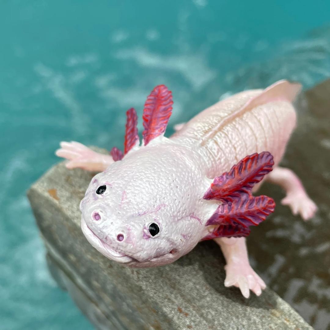 Axolotl Figurine - Hand Painted & Collectible Wild Animal Toy Figure - Safari Ltd 104650