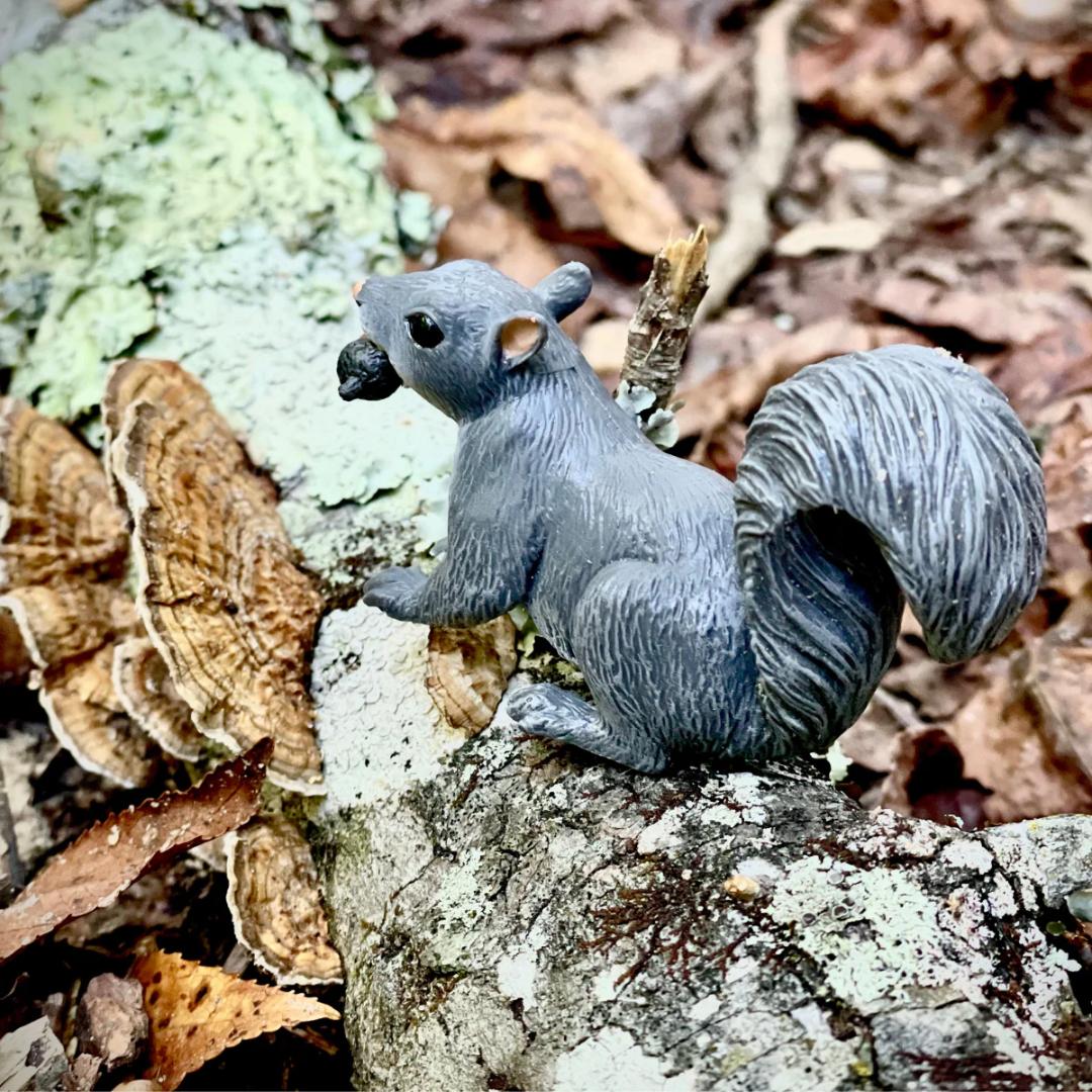 Gray Squirrel Figurine - Hand Painted Woodland Animal Toy Figure - Safari Ltd
