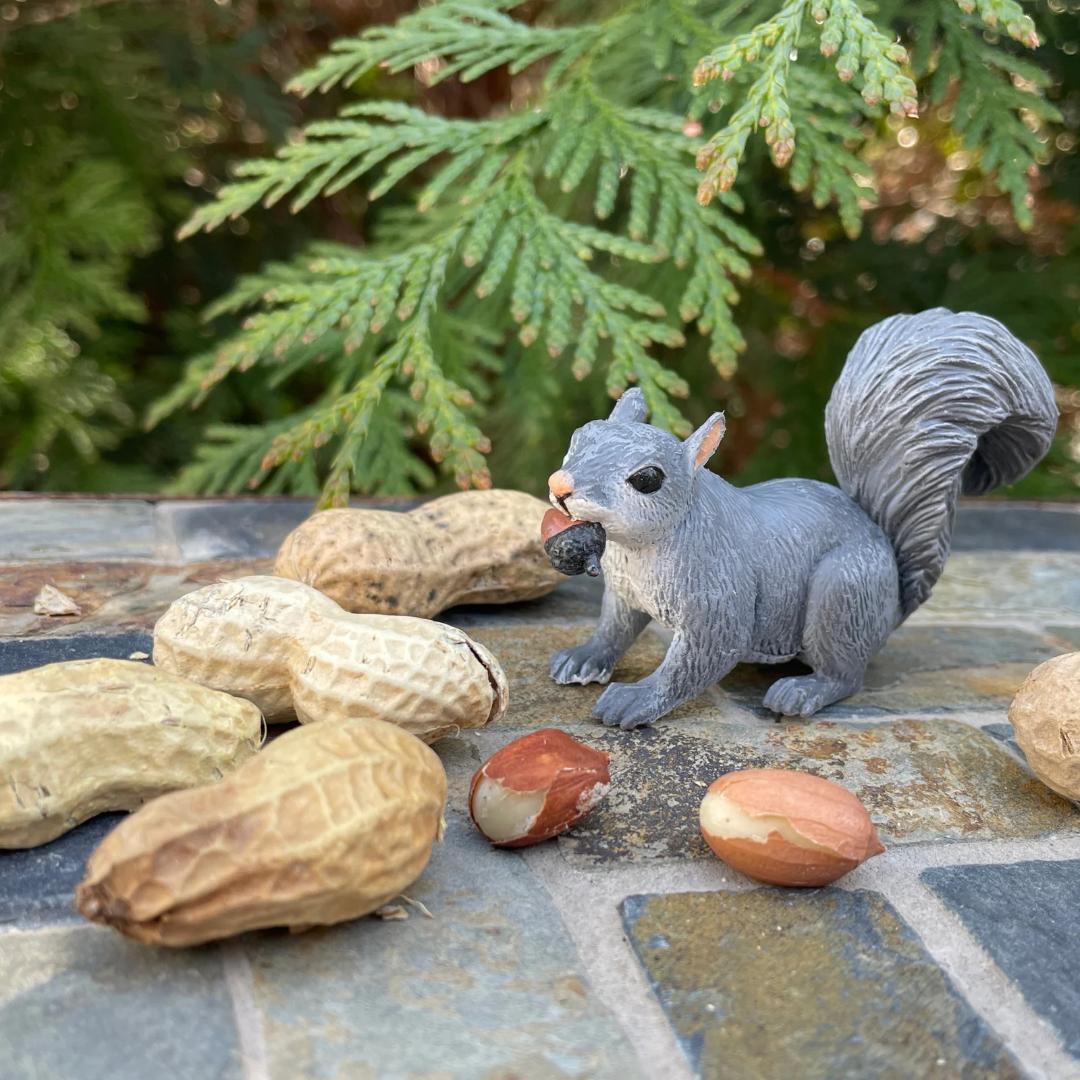 Gray Squirrel Figurine - Hand Painted Woodland Animal Toy Figure - Safari Ltd
