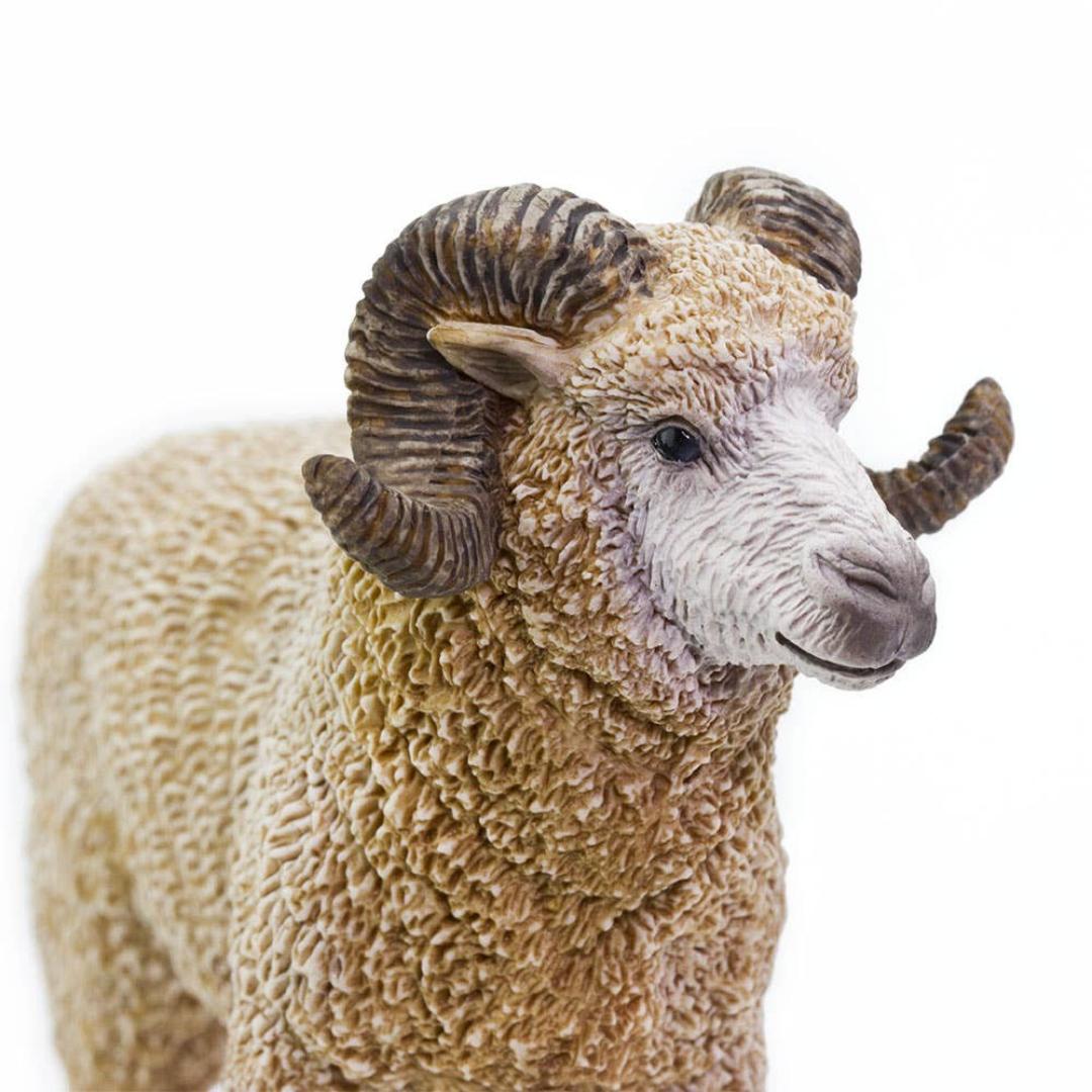 Ram Figurine - Hand Painted Farm Animal Toy Figure for Kids - Safari Ltd 161429