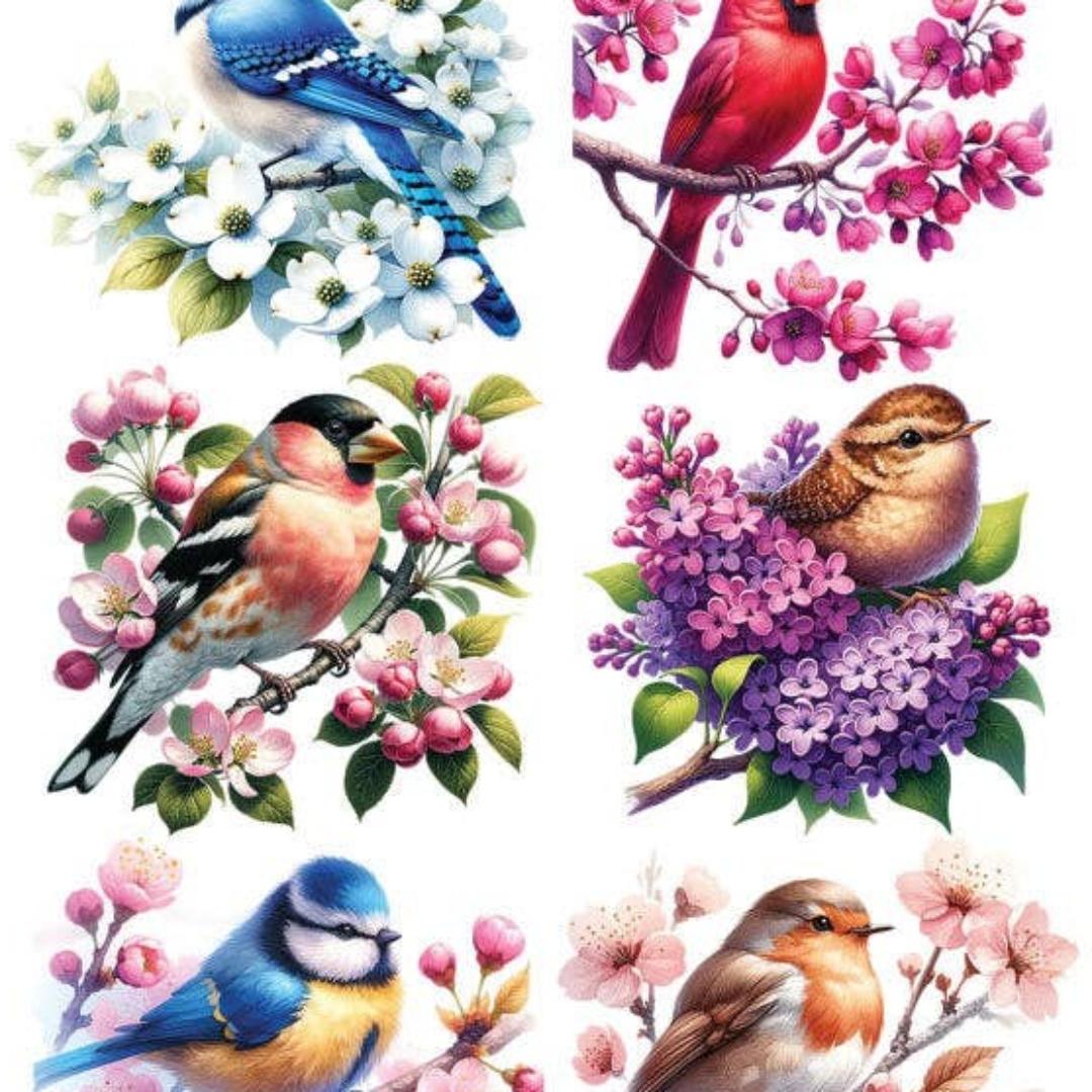 Bird Stickers - Colorful Bird's Life Sticker Sheet