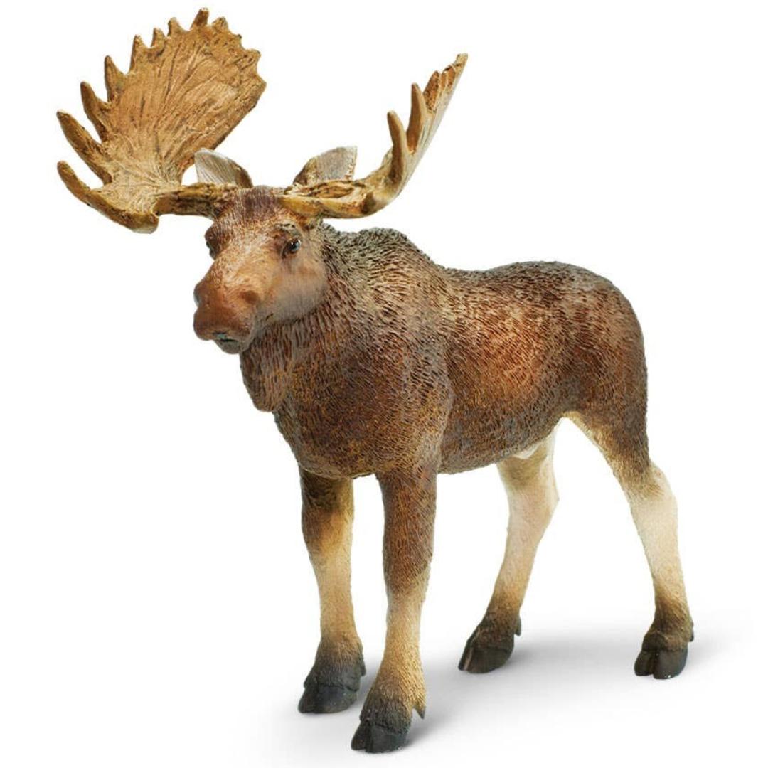 Bull Moose Figurine - Hand Painted Wildlife Toy Figure - Safari Ltd 181029