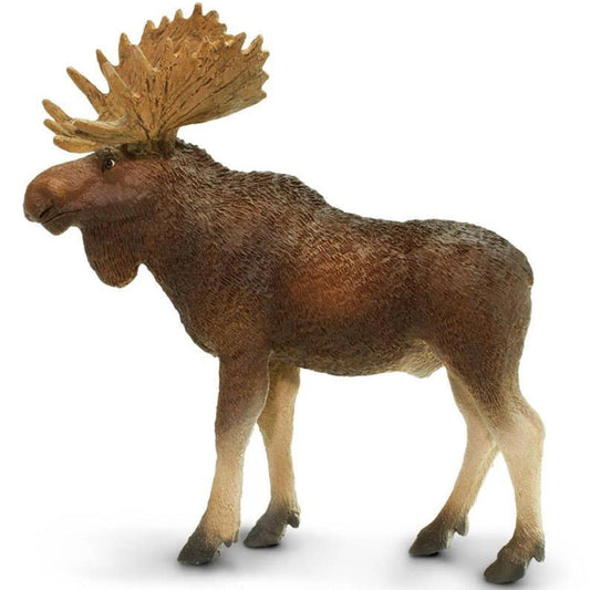 Bull Moose Figurine - Hand Painted Wildlife Toy Figure - Safari Ltd 181029