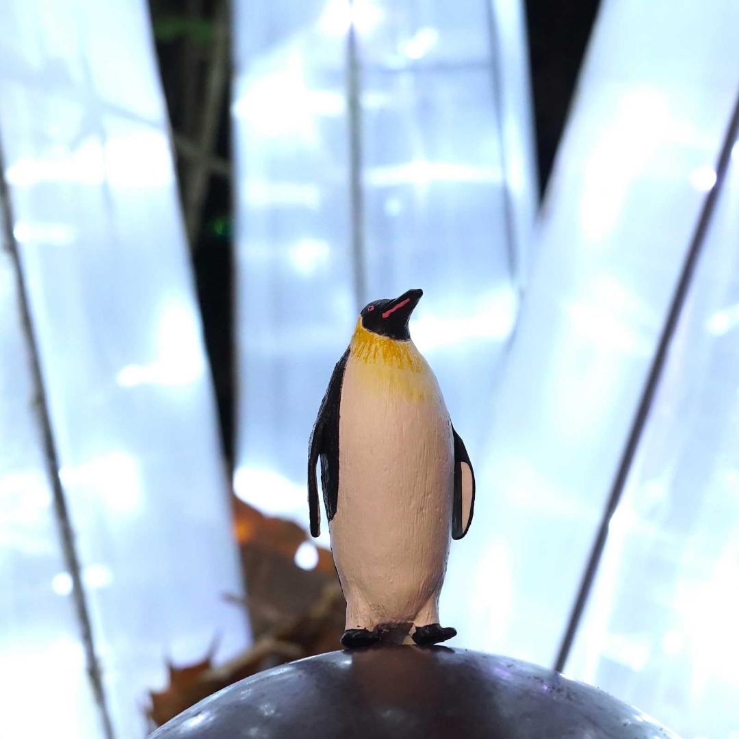 Emperor Penguin Figurine - Hand Painted Arctic Bird Toy Figure - Safari Ltd 276129