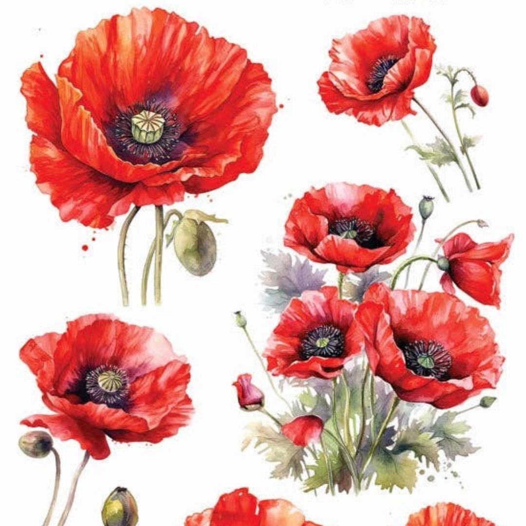 Poppy Stickers - Red Flowers Sticker Sheet
