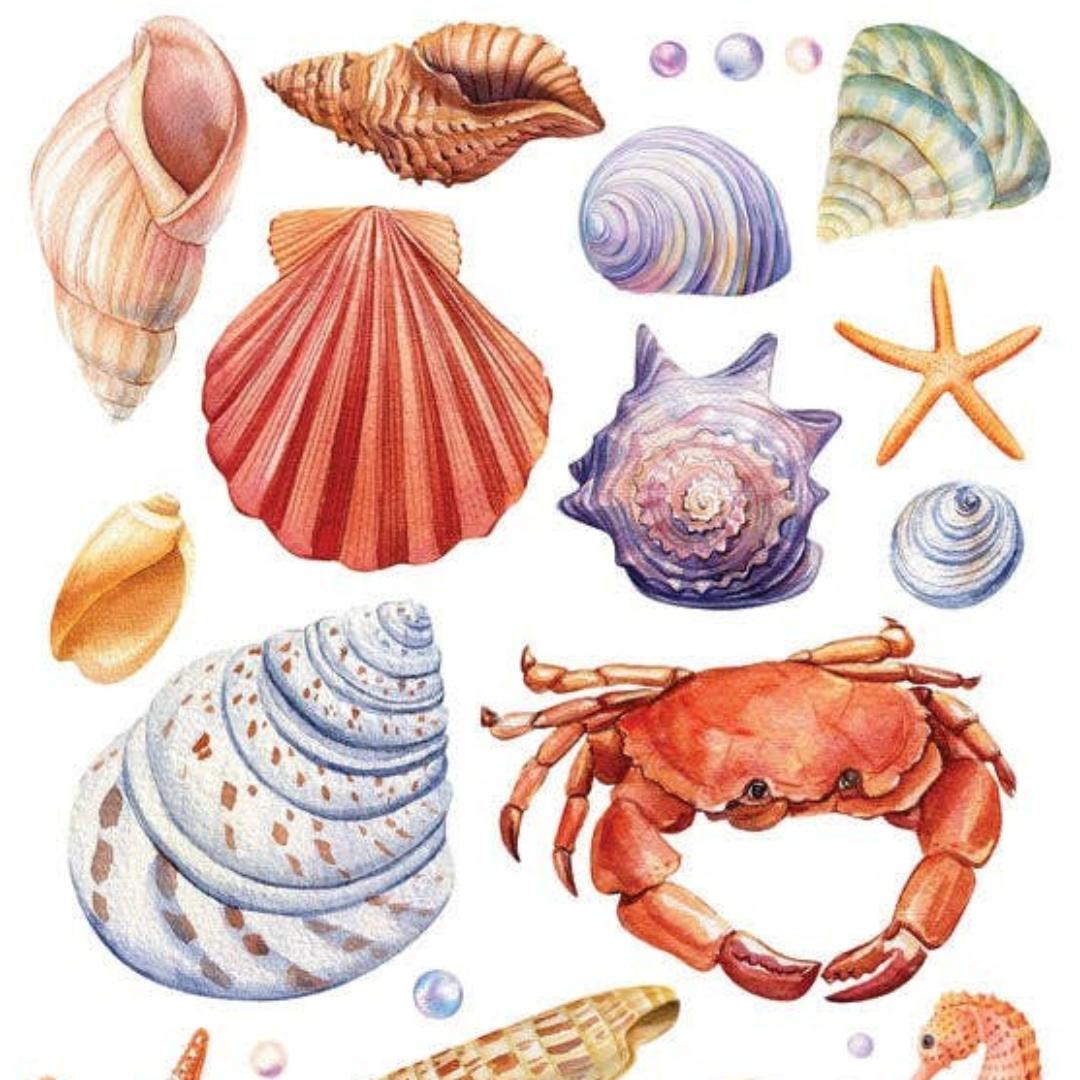 Sea Life Stickers - Seashells and Crabs Watercolor Sticker Sheet