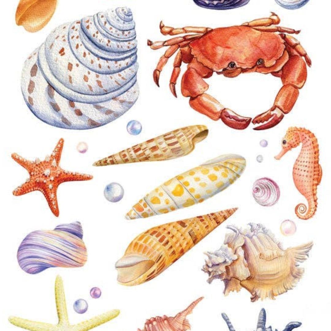 Sea Life Stickers - Seashells and Crabs Watercolor Sticker Sheet