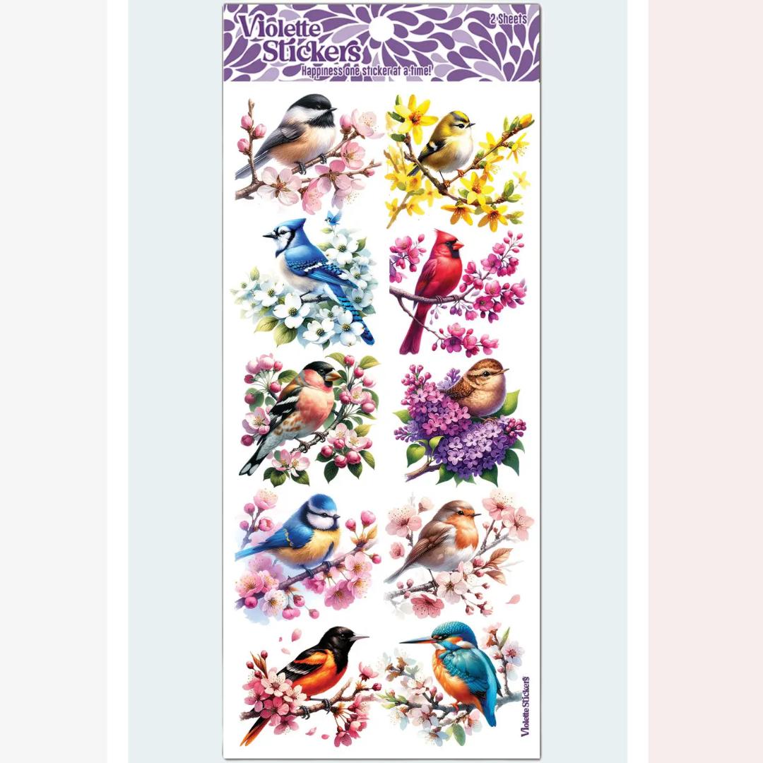 Bird Stickers - Colorful Bird's Life Sticker Sheet