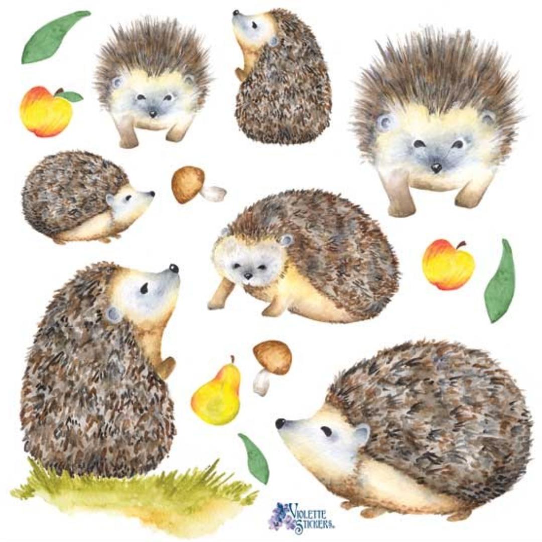 Hedgehog Stickers - Woodland Animal Sticker Sheet