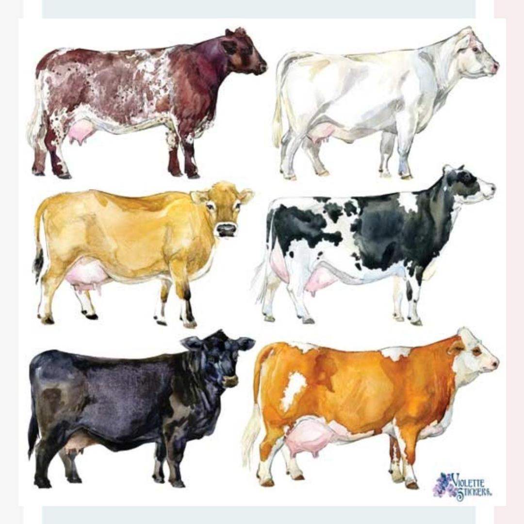 Cow Stickers - Farm Animal Sticker Sheets