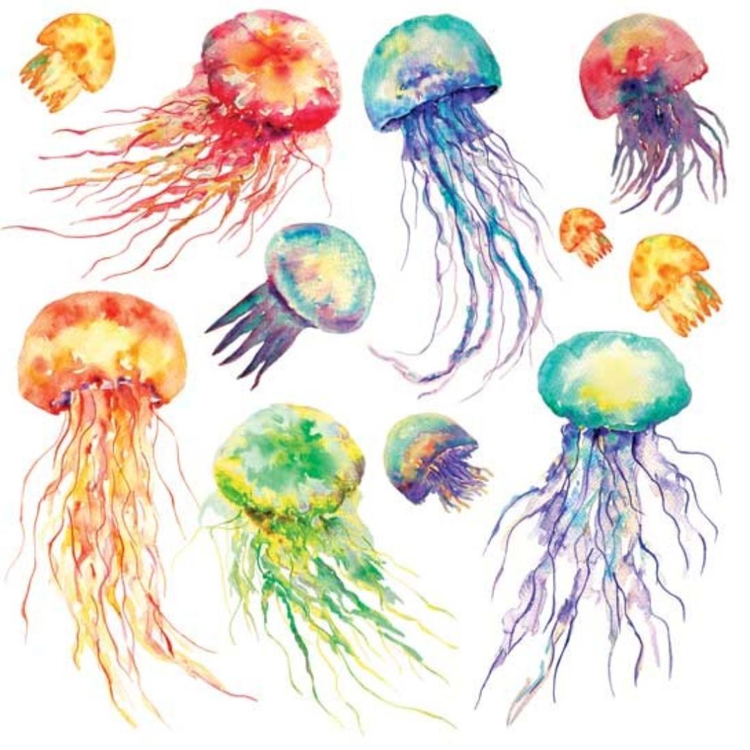 Jellyfish Stickers - Colorful Sea Life & Ocean Sticker Sheets