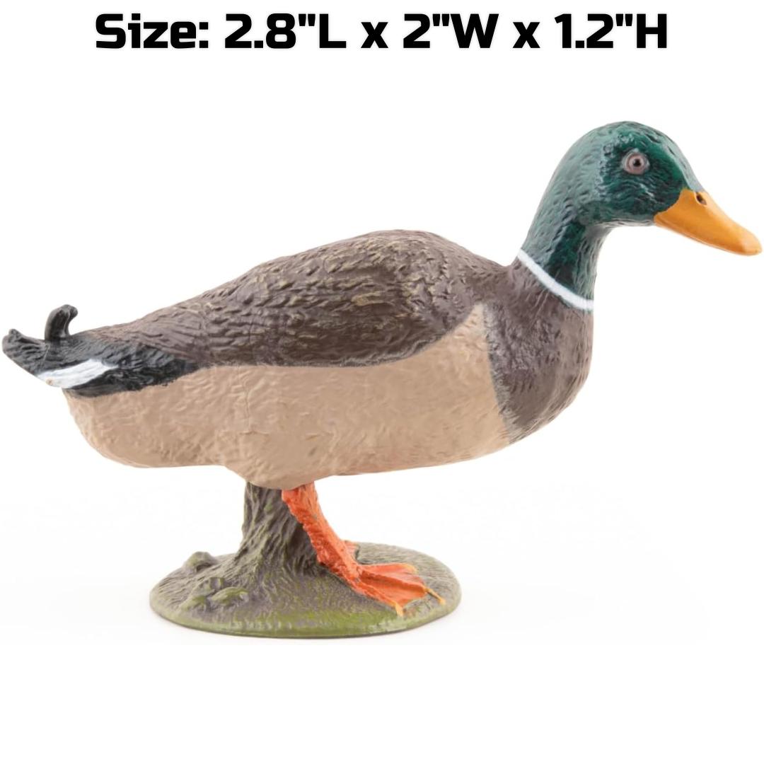 Mallard Duck Figurine - Hand Painted Wild Bird Toy Figure - Papo 51155