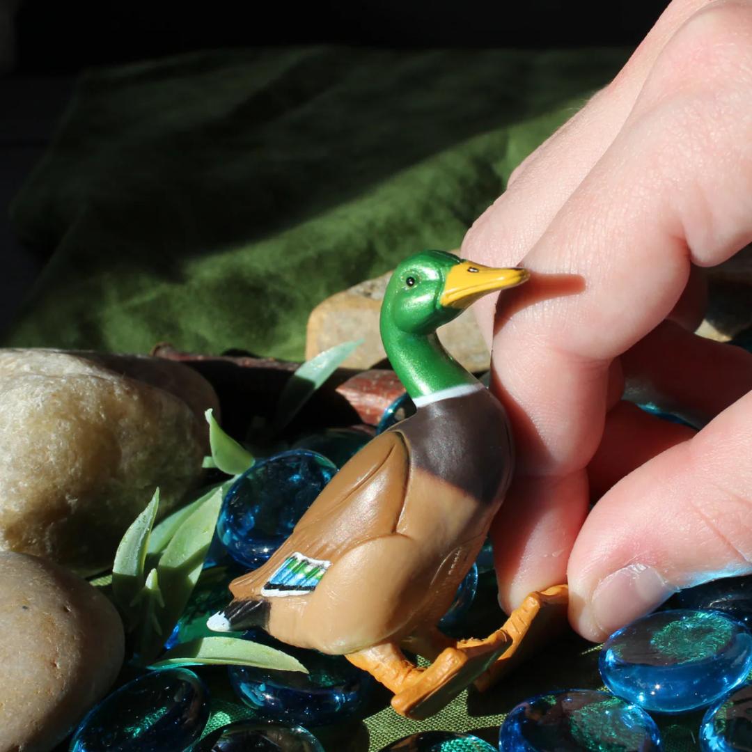Mallard Duck Figure - Hand Painted Wild Bird Toy Figure - Safari Ltd 233229