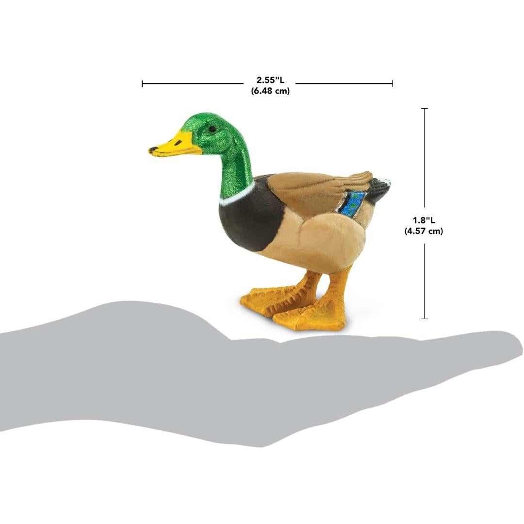 Mallard Duck Figure - Hand Painted Wild Bird Toy Figure - Safari Ltd 233229