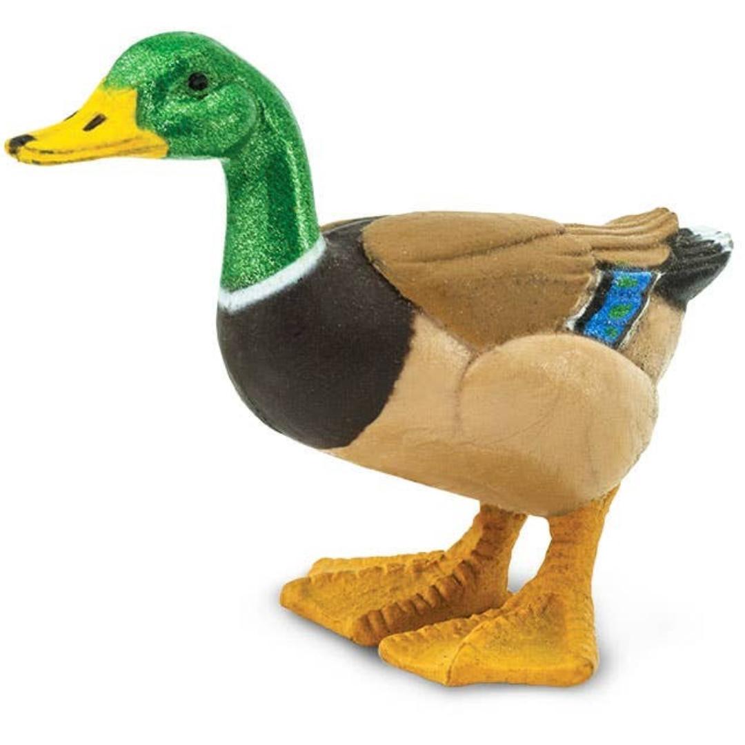 Mallard Duck Figure - Hand Painted Wild Bird Toy Figure - Safari Ltd 233229