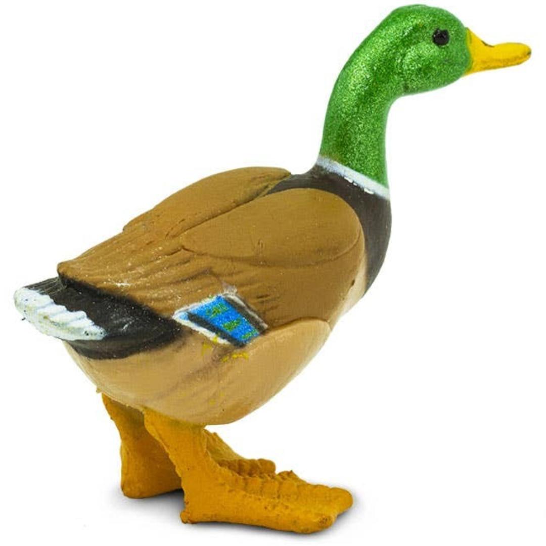 Mallard Duck Figure - Hand Painted Wild Bird Toy Figure - Safari Ltd 233229