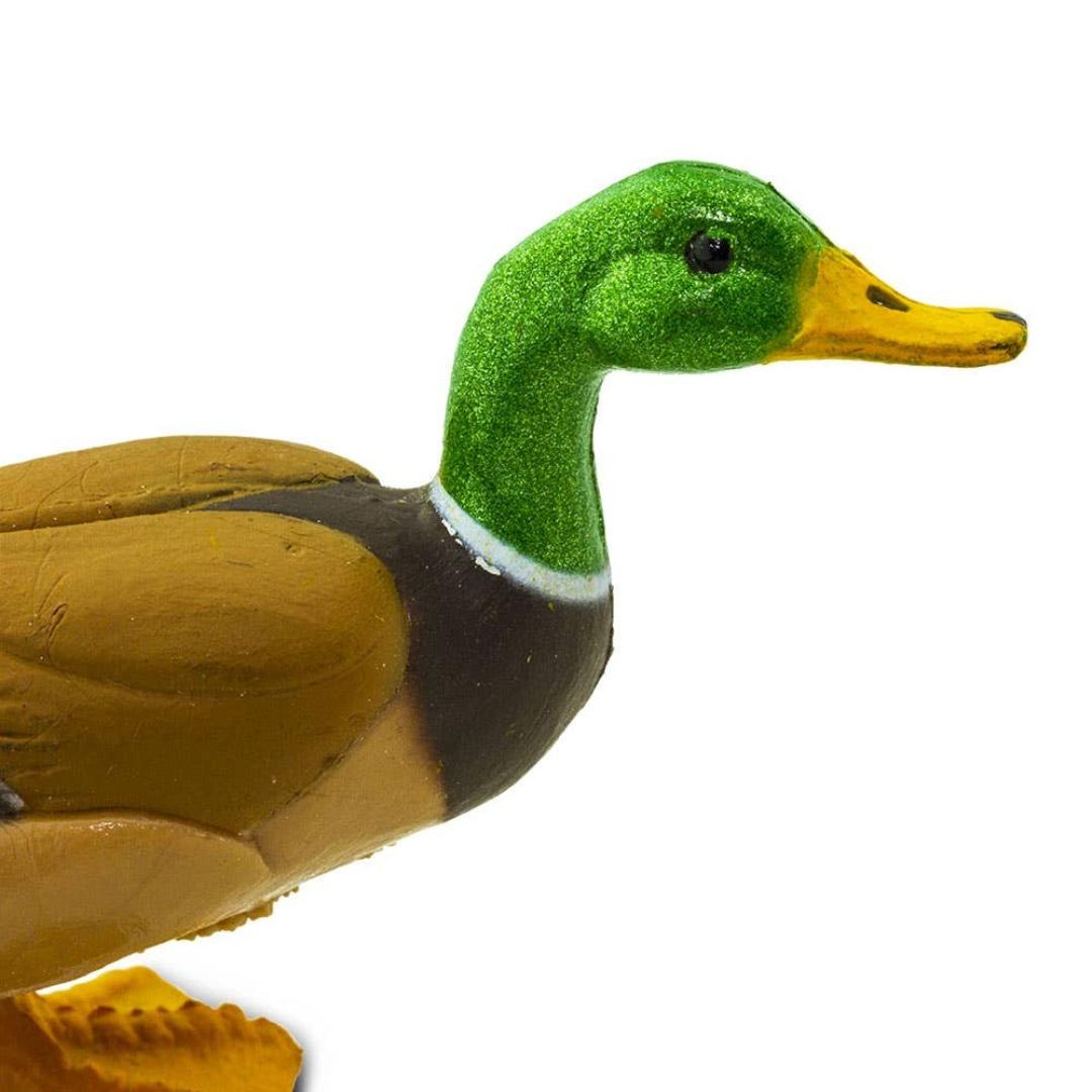 Mallard Duck Figure - Hand Painted Wild Bird Toy Figure - Safari Ltd 233229