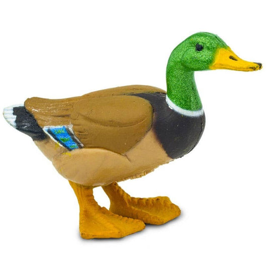 Mallard Duck Figure - Hand Painted Wild Bird Toy Figure - Safari Ltd 233229