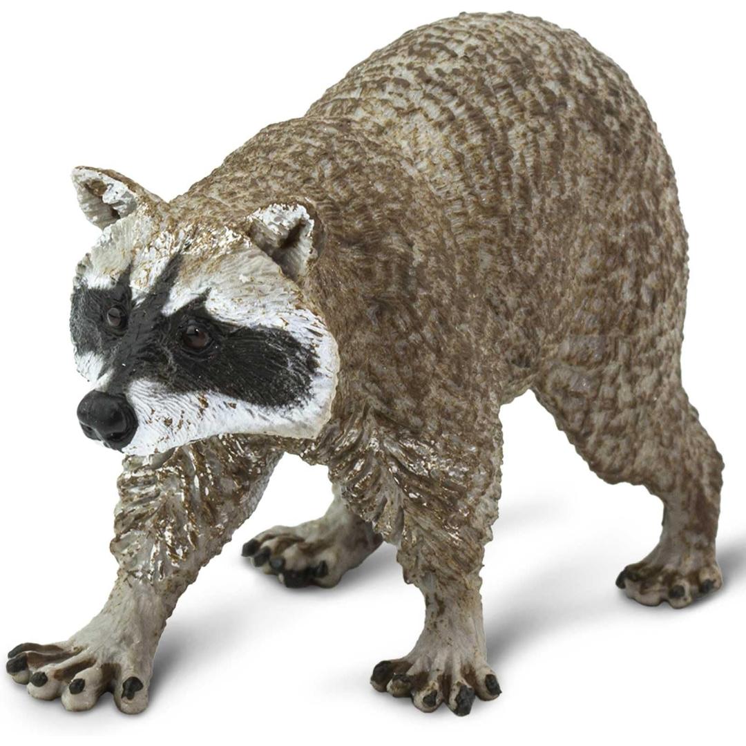 Raccoon Figurine - Hand Painted Collectible Wild Animal Toy Figure - Safari Ltd 223029