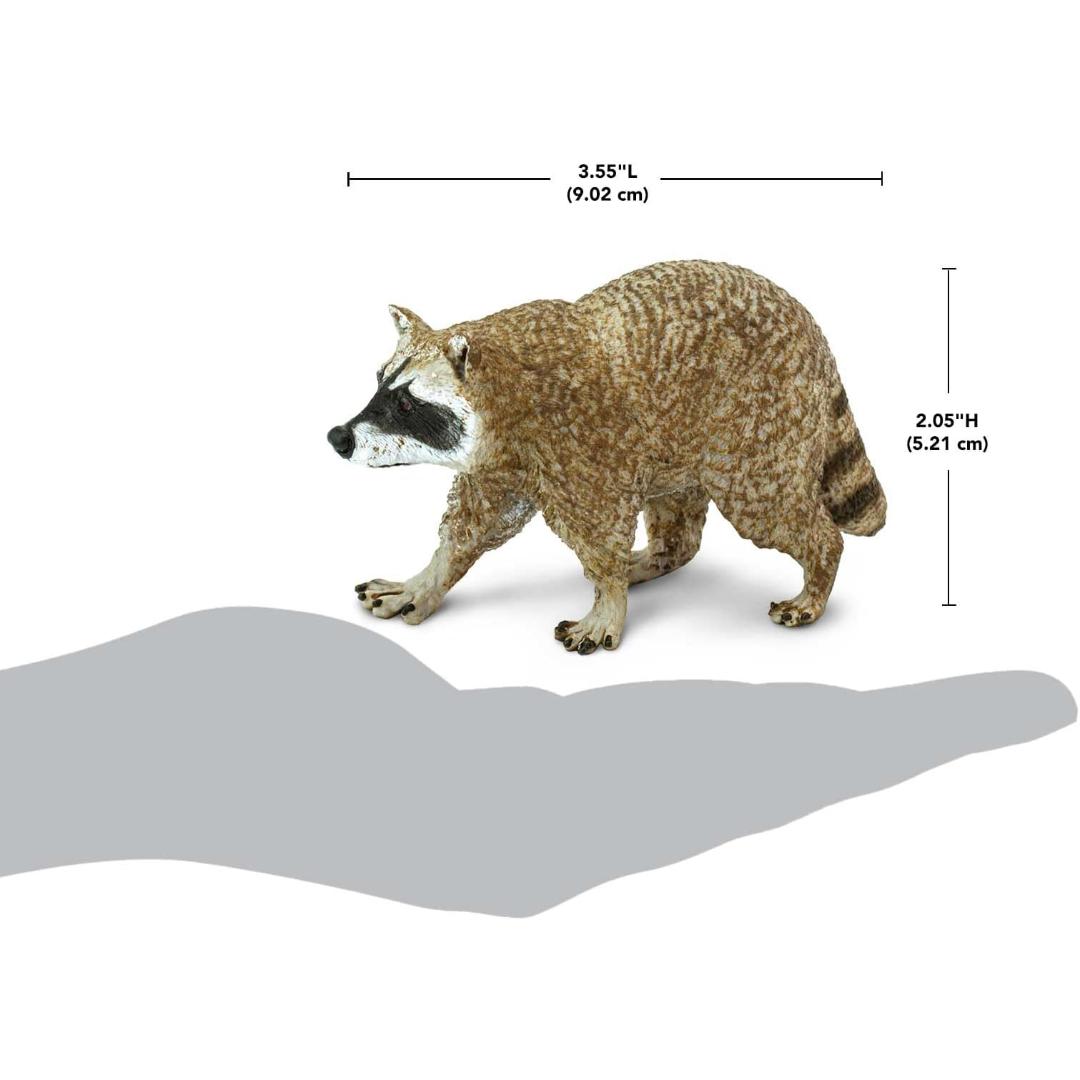Raccoon Figurine - Hand Painted Collectible Wild Animal Toy Figure - Safari Ltd 223029