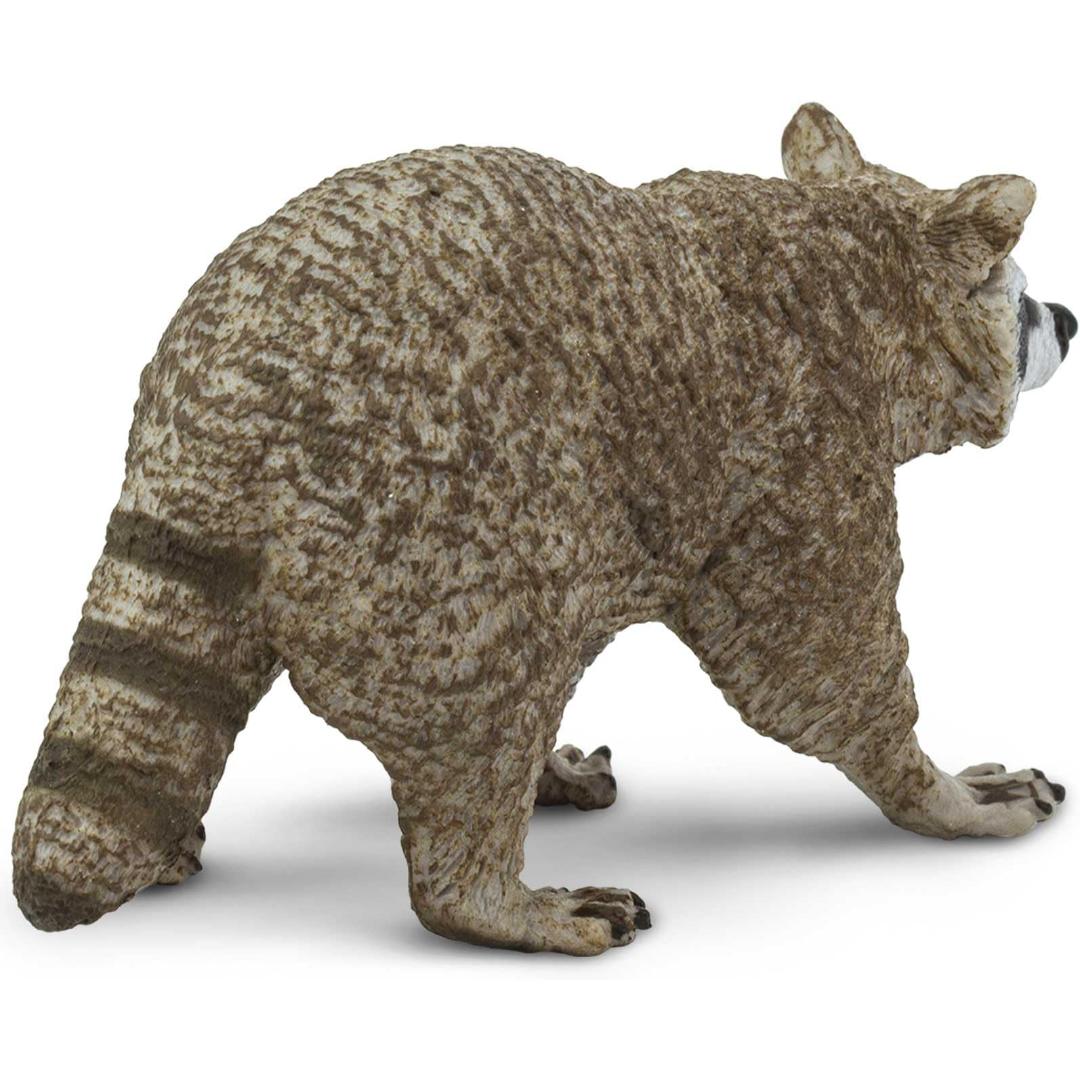 Raccoon Figurine - Hand Painted Collectible Wild Animal Toy Figure - Safari Ltd 223029
