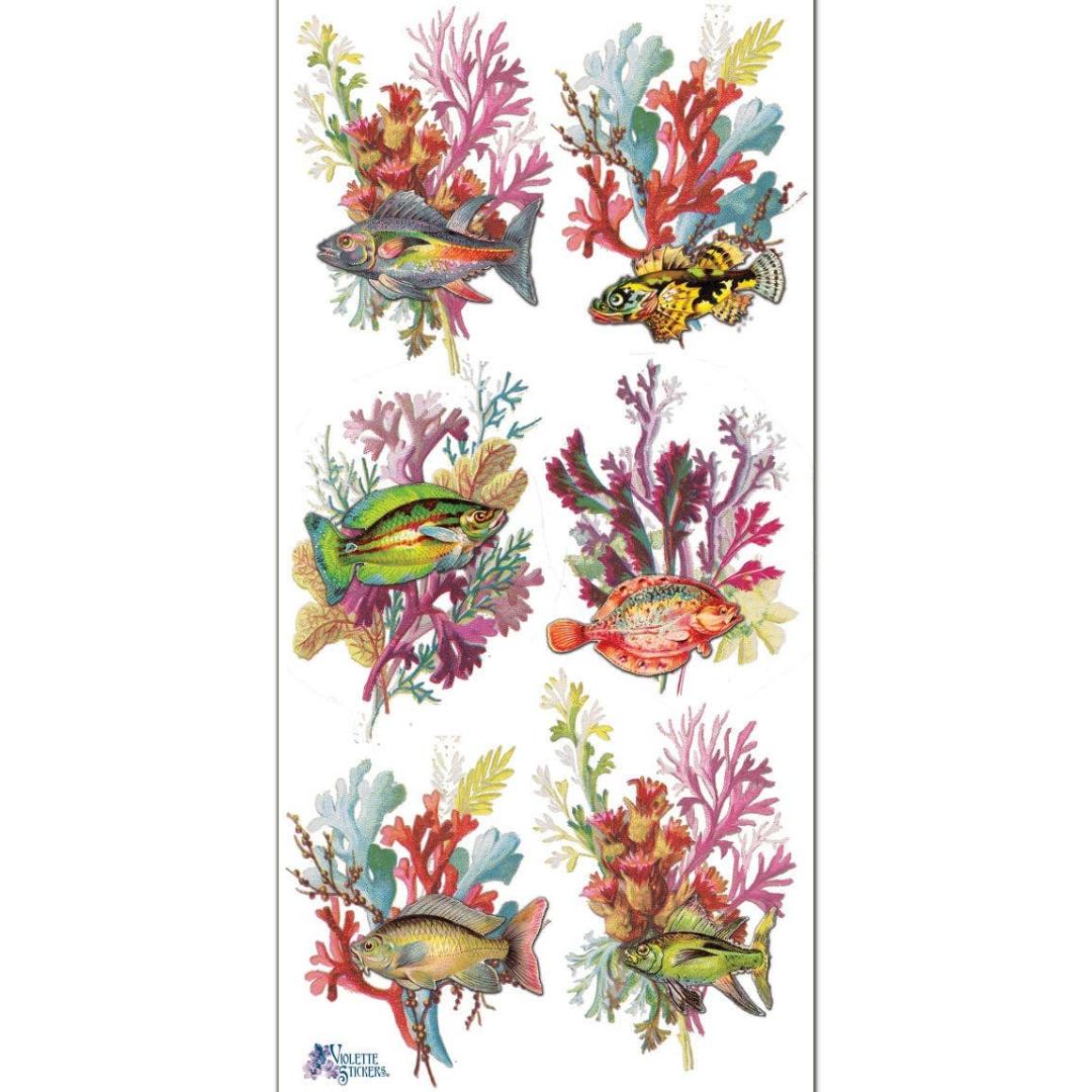 Rainbow Reef Fish Stickers - Sea Life, Coral, & Ocean Sticker Sheet