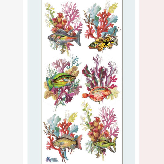 Rainbow Reef Fish Stickers - Sea Life, Coral, & Ocean Sticker Sheet