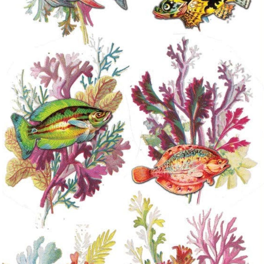 Rainbow Reef Fish Stickers - Sea Life, Coral, & Ocean Sticker Sheet
