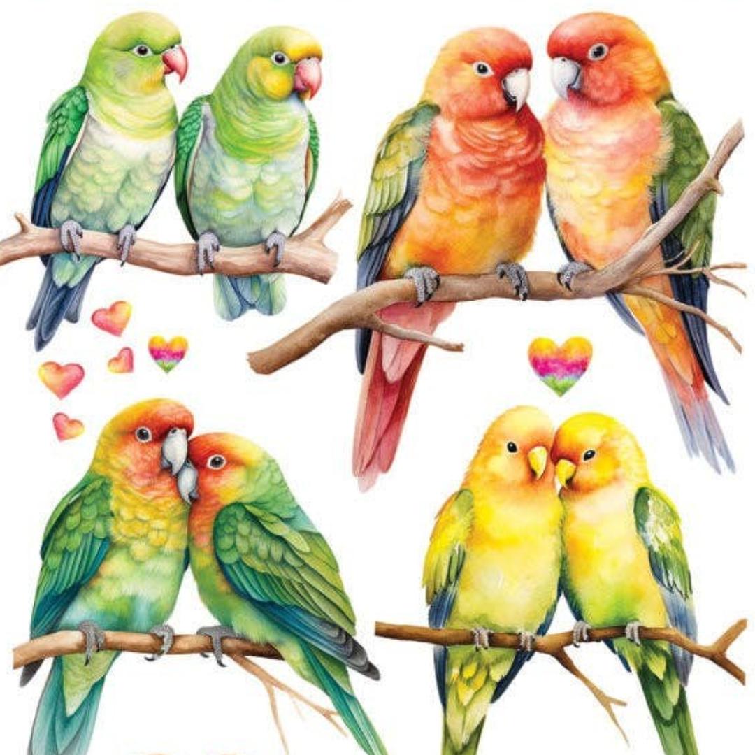 Bird Stickers - Love Birds Sticker Sheets