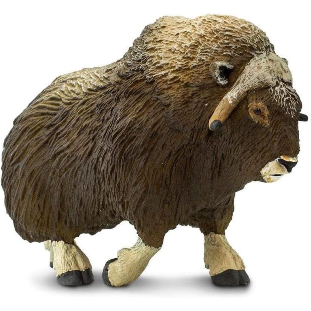 Muskox Figurine - Hand Painted Wild Animal Toy Figure - Safari Ltd