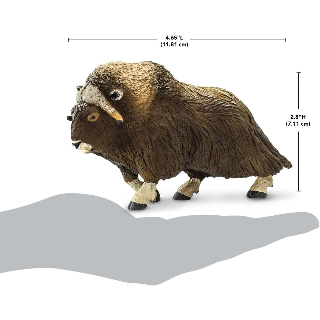 Muskox Figurine - Hand Painted Wild Animal Toy Figure - Safari Ltd