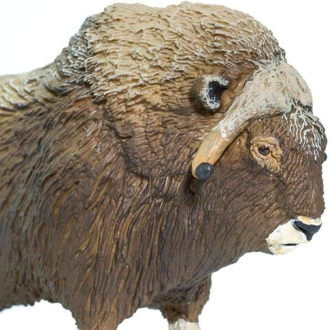 Muskox Figurine - Hand Painted Wild Animal Toy Figure - Safari Ltd