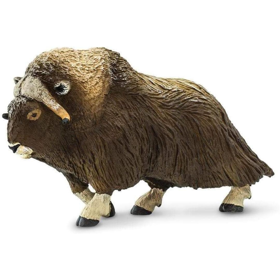 Muskox Figurine - Hand Painted Wild Animal Toy Figure - Safari Ltd