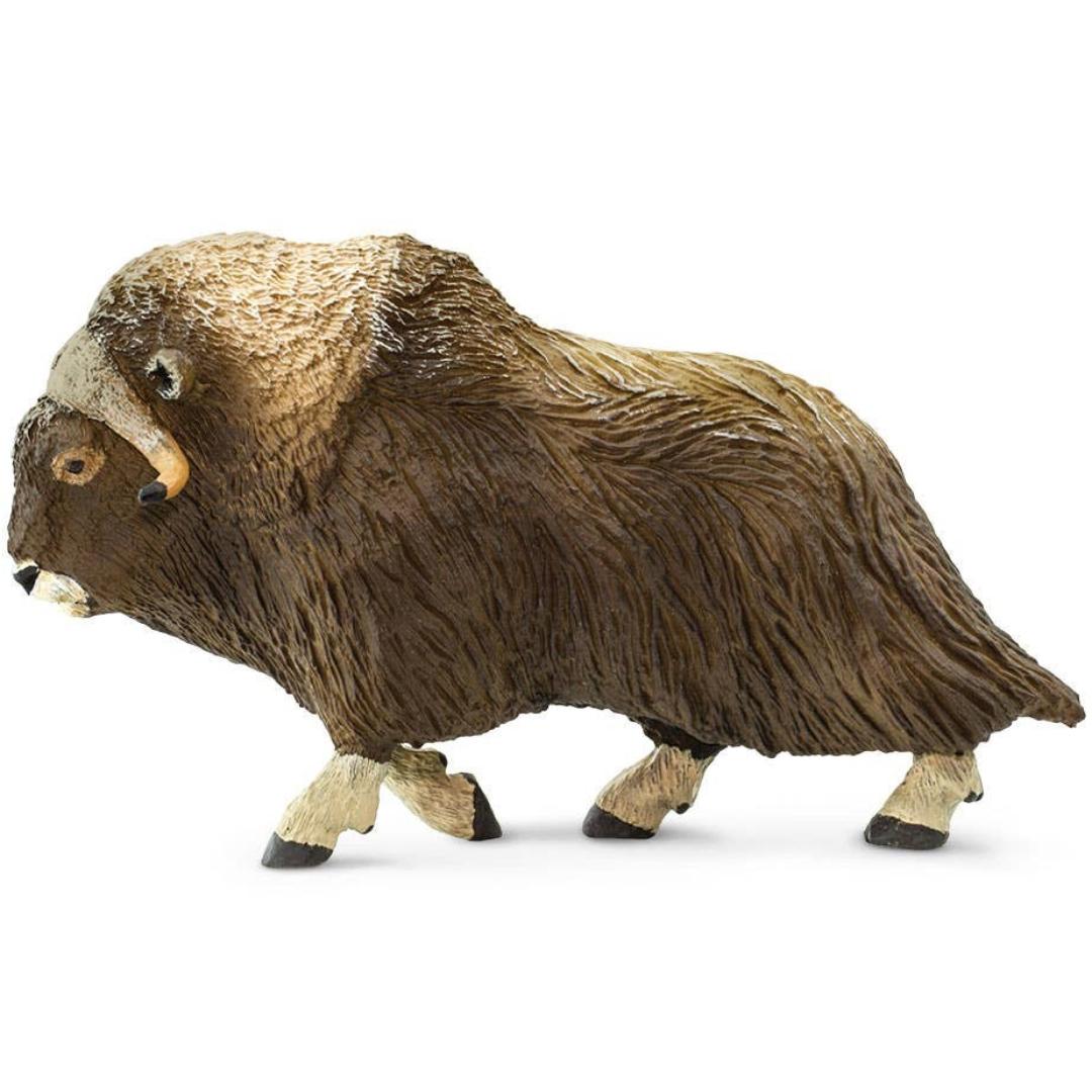 Muskox Figurine - Hand Painted Wild Animal Toy Figure - Safari Ltd